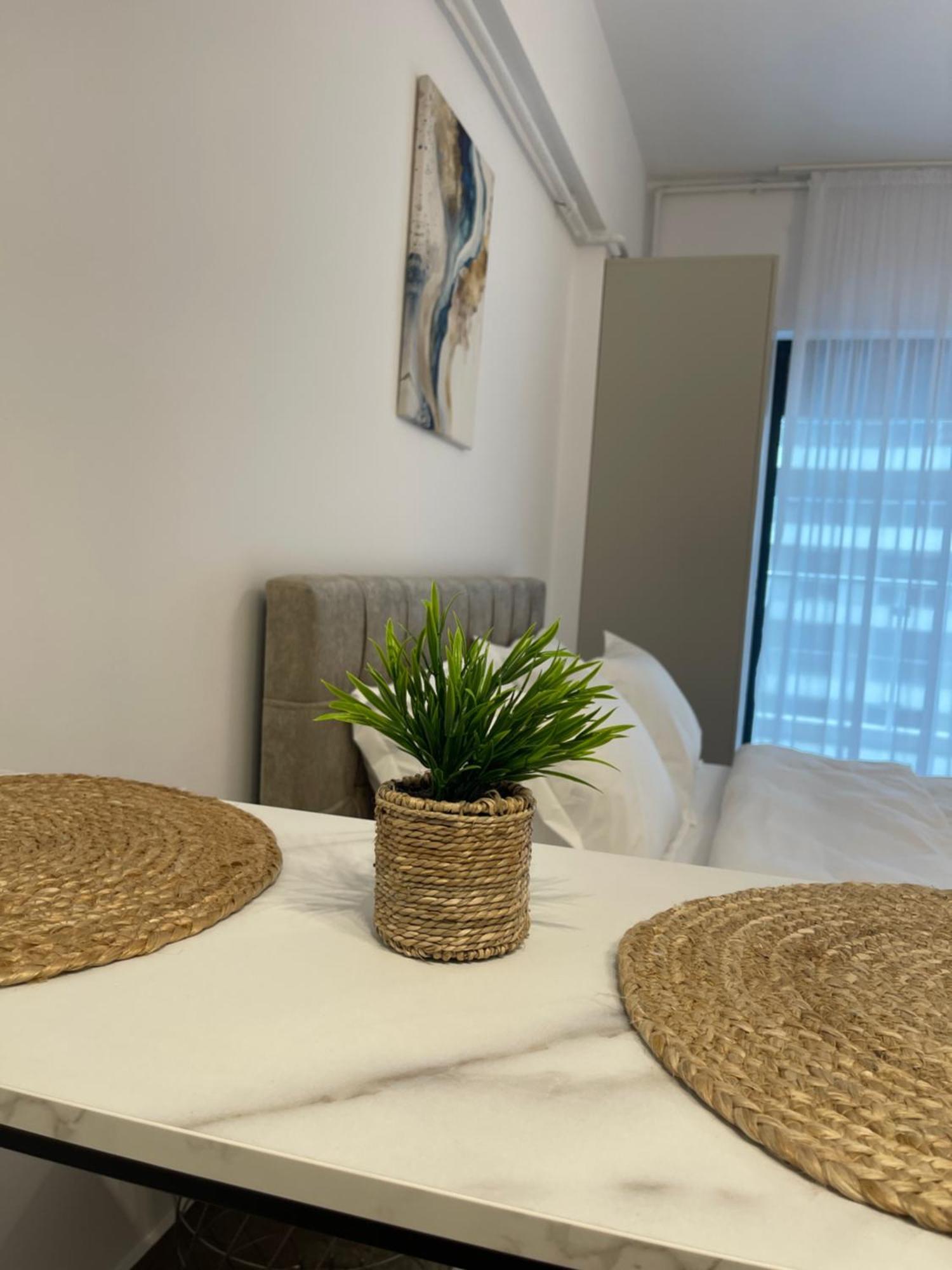 شقة Del Mar Vista مامايا المظهر الخارجي الصورة